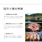 土佐備長炭焼き 四万十鶏の焼き鳥 たれ味 25本