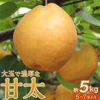 ふるさと納税 角田市 梨「甘太」約5kg(5〜7玉入)【松崎果樹園】