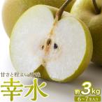 ふるさと納税 角田市 梨「幸水」約3kg(6〜7玉入)【松崎果樹園】