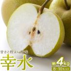 ふるさと納税 角田市 梨「幸水」約4kg(8〜10玉入)【松崎果樹園】