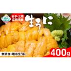 ふるさと納税 陸前高田市 【緊急支援品】三陸産 生うに 400g 塩水パック 獲れたその日に出荷 ウニ 雲丹 天然 濃厚 旬