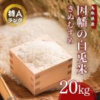 ふるさと納税 八頭町 因幡の白兎米 きぬむすめ 令和7年産 精米済 20kg(5kg×4袋)
