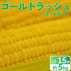 とうもろこし 甘い スイートコーン ゴールドラッシュ