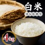 ふるさと納税 東御市 【小田農園】冷めても美味しいコシヒカリ　白米4kg　|※2025年9月下旬以降、発送開始予定
