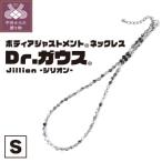 Dr.ガウス