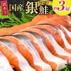 ふるさと納税 気仙沼市 訳あり 国産 減塩 厚切り 塩銀鮭 切身 計 3kg 20565950
