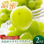 糸島産 シャインマスカット 2kg