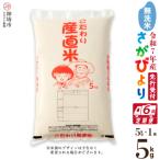 ふるさと納税 神埼市 【令和7年産 新米先行受付】さがびより 無洗米 5kg【6ヶ月定期便】農園(H061709)