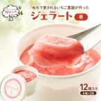 ジェラート いちご 12個