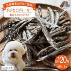 きびなごジャーキー40g×3袋 株式会社コバヤシ