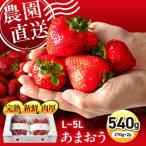糸島のあまおう 270g×2パック