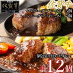 ショッピングふるさと納税 ハンバーグ ふるさと納税 太良町 佐賀牛ハンバーグ　デミ・プレーン 12個 NB53