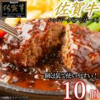 ふるさと納税 太良町 佐賀牛デミハンバーグ真空個包装 10個 NB52