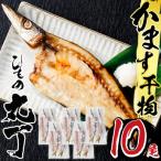用品質 九州産ひもの真あじ開き 計10尾