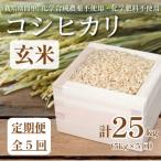 ふるさと納税 小松島市 【令和7年産】　玄米 定期便 5回 米 コシヒカリ 計25kg 5kg × 5回 お米 おこめ