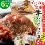 マジカル冷凍牛ハンバーグ定食 K258-T03_b