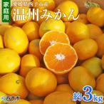 ふるさと納税 西予市 <愛媛県西予市産 温州みかん 家庭用 約3kg > 果物 くだものうんしゅうみかん