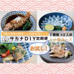 サカナDIY 2人前