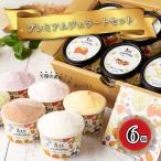 アイスクリーム アイス ジェラート 6種