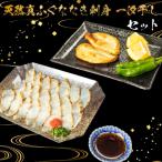 ふるさと納税 下関市 ふぐ たたき 刺身 一汐干し 天然 冷凍 AU429-x