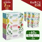 ふるさと納税 岩沼市 定期便 ティッシュ スコッティ 60箱 (5箱×6P)《計2 回》[No.5704-1129]
