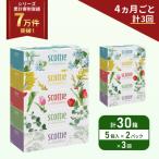 ふるさと納税 岩沼市 定期便 ティッシュ スコッティ 30箱 (5箱×2P)《計3回》[No.5704-1131]