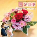 お花の定期便 バスケット 毎月1回×3回分
