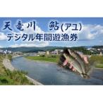 天竜川漁業協同組合 アユ 年間遊漁券 釣り