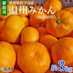 果物 くだものミカン 蜜柑 柑橘 フルーツ うんしゅうみかん