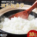 通常 お米 コメ こめ 白米 精米 ご飯 新鮮 10キロ