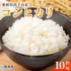 お米 コメ 白米 精米 ご飯 ライス 穀物 こしひかり