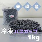 びえいハスカップファーム 美瑛産冷凍ハスカップ 1kg