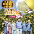 オレンジ園の土佐文旦10kg 柑橘 フルーツ