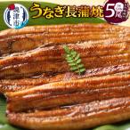 うなぎ120g長蒲焼×5 たれ 山椒付 吸物セット