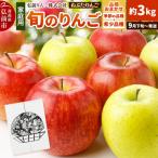 りんご トキ 約3kg