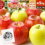 りんご トキ 約5kg