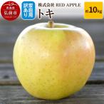 りんご トキ 約10kg