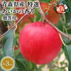 りんご あいかの香り3kg