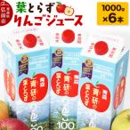 りんごジュース 1000g×6本