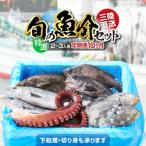 特選 三陸海の恵み詰め合わせ 2~3人用
