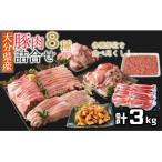 ふるさと納税 臼杵市 豚肉食べ尽しセット!小分けで便利♪大分県産 豚詰め合わせ8種(約3kg)
