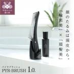 輪郭美 頭髪美 美顔器 LINKS パイラブラッシュ