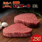 ふるさと納税 倉吉市 鳥取和牛 オレイン55 ヒレステーキ 2枚(250g) 黒毛和牛 肉 国産 KR0324