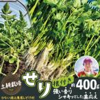セリ 強い香りとシャキッとした歯応え 約400g