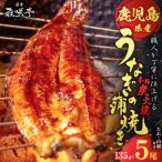 職人 が 丁寧 に 仕上げる 本格 炭火焼 産うなぎ