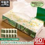 ふるさと納税 甲佐町 ティッシュペーパーソフトパック 400枚(200組)60パック