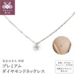 Pt900 プレミアム 1ダイヤモンドネックレス