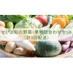せいよ旬の野菜 果物詰合わせセット 月1回3か月