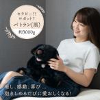 パトランの黒 通称:クロラン 科学工房未來