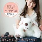 パトランの白 通称:シロラン 科学工房未來